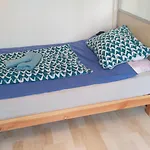 Modern Room In Prague 6